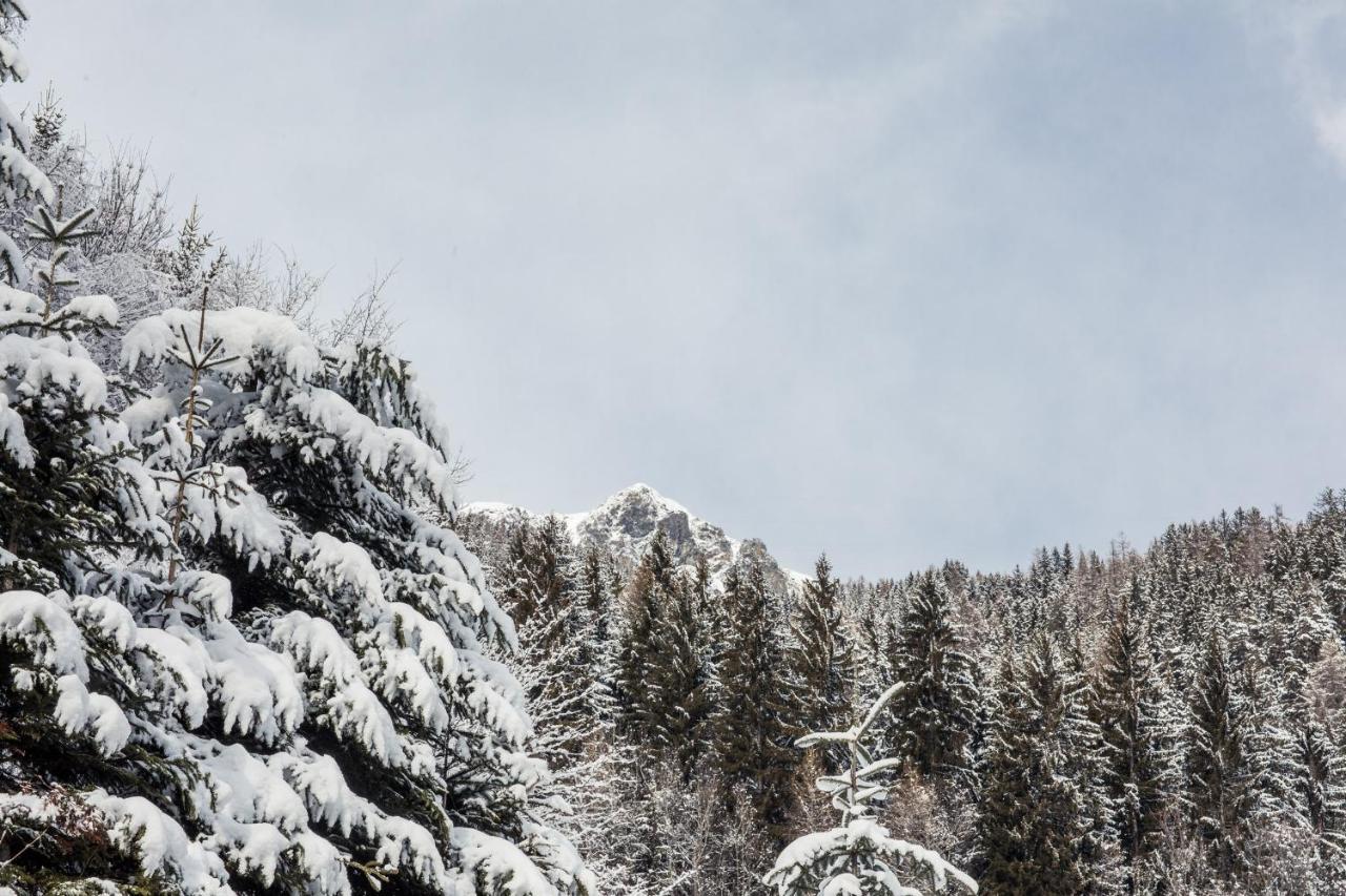 Hotel Alpenhof Ultimo Dış mekan fotoğraf