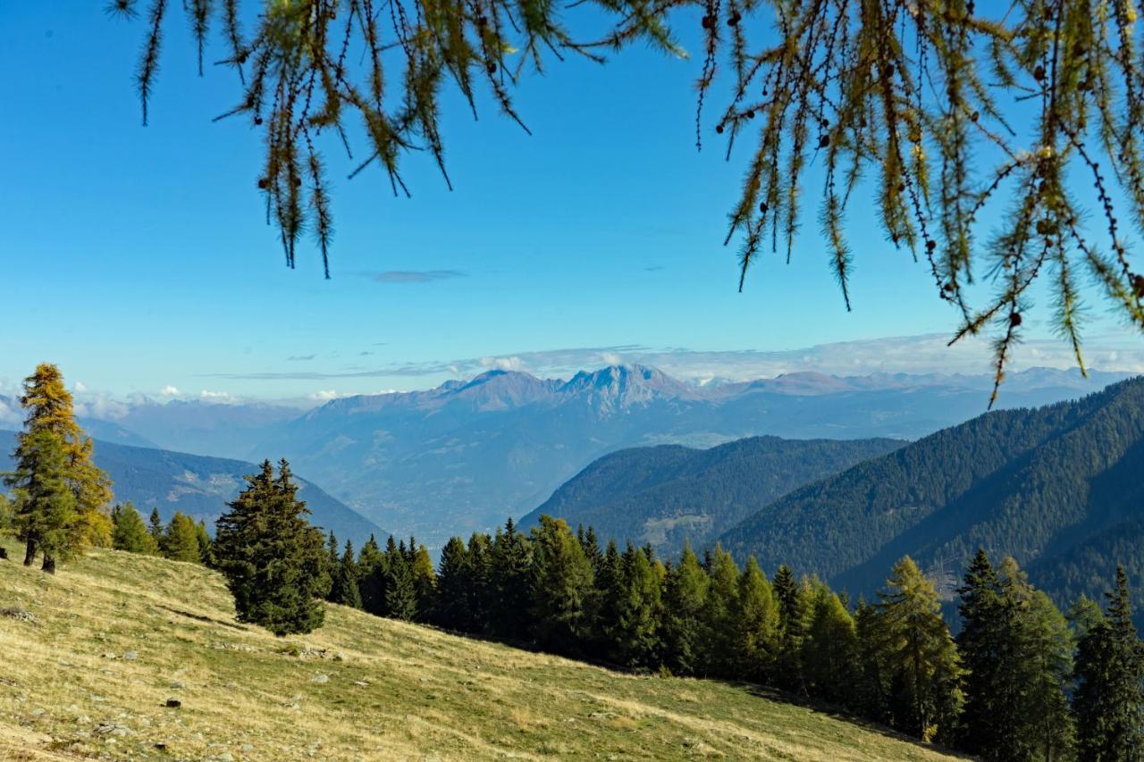Hotel Alpenhof Ultimo Dış mekan fotoğraf